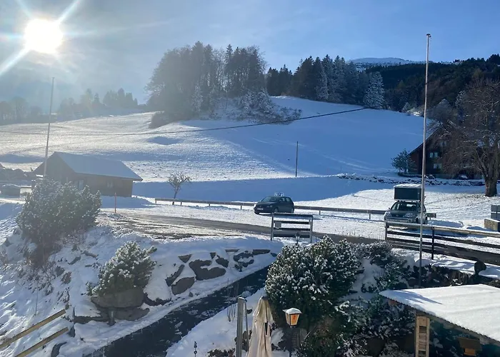 Aparthotel-almgasthaus Gemsli - A Bisal Oesterreich Ueberm Schweizer Rheintal Sevelen
