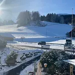 Aparthotel-almgasthaus Gemsli - A Bisal Oesterreich Ueberm Schweizer Rheintal Sevelen