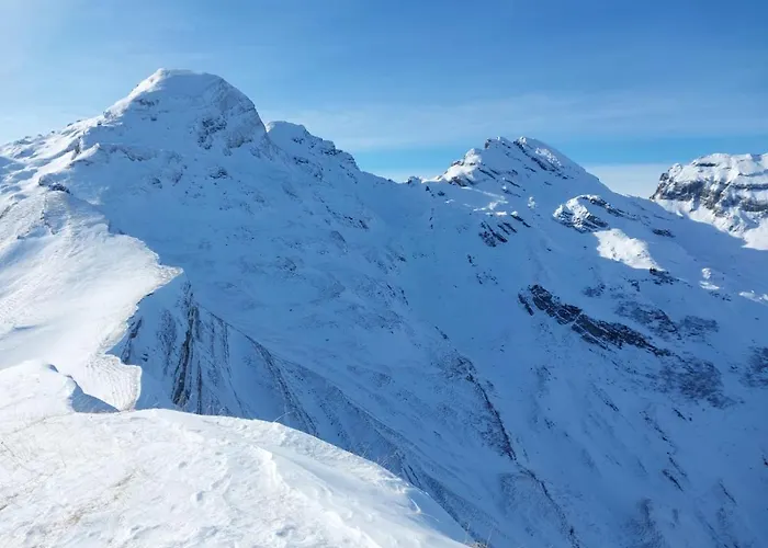 Aparthotel-almgasthaus Gemsli - A Bisal Oesterreich Ueberm Schweizer Rheintal